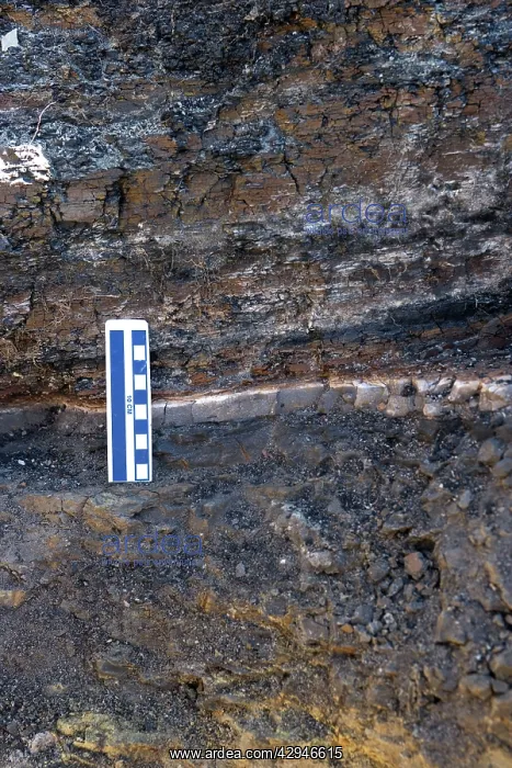 : GEOLOGY: K-T boundary - The K-T boundary claystone : GEOLOGY: K-T boundary - The K-T boundary claystone