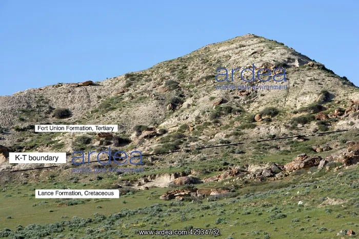 : GEOLOGY: K-T boundary site - The photo depicts : GEOLOGY: K-T boundary site - The photo depicts