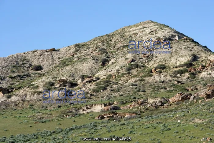  : GEOLOGY: K-T boundary site - The photo depicts