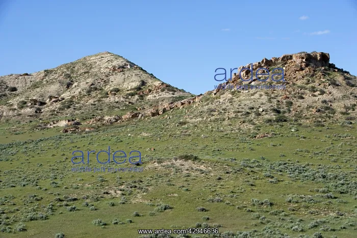 : GEOLOGY: K-T boundary site - The photo depicts : GEOLOGY: K-T boundary site - The photo depicts