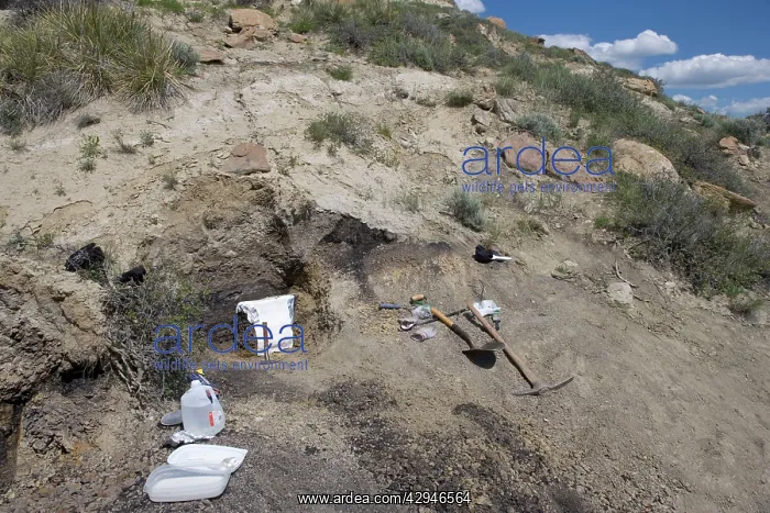 : GEOLOGY: K-T boundary - Sussex site, north of Casper : GEOLOGY: K-T boundary - Sussex site, north of Casper