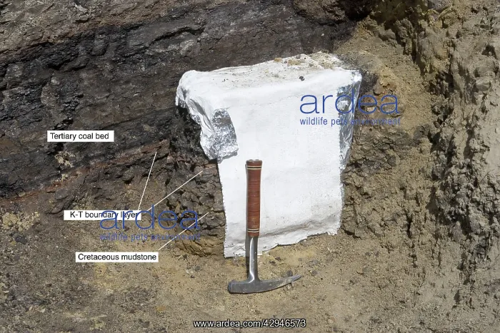 : GEOLOGY: K-T boundary - Sussex site, north of Casper : GEOLOGY: K-T boundary - Sussex site, north of Casper