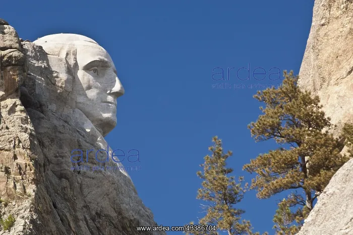 : George Washington profile, Mount Rushmore, Mount : George Washington profile, Mount Rushmore, Mount