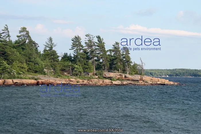 : Georgian Bay, Canada : Georgian Bay, Canada