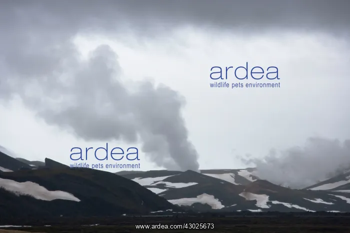 : Geothermal Activity : Geothermal Activity