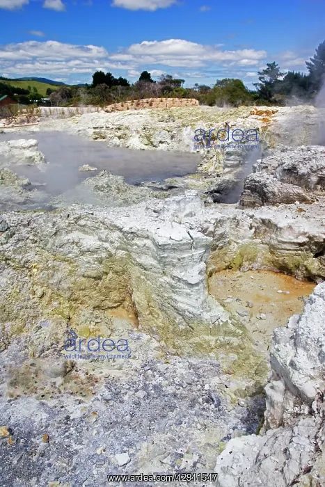 : Geothermal activity - sulphur rocks and lake : Geothermal activity - sulphur rocks and lake