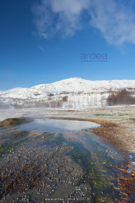 : Geothermal area Haukadalur : Geothermal area Haukadalur