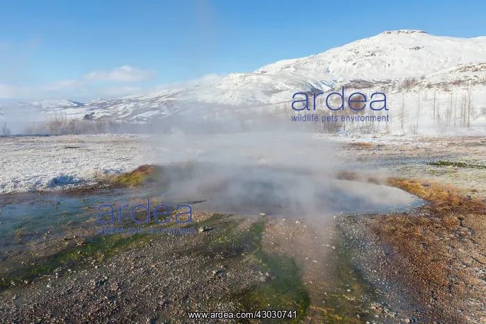 : Geothermal area Haukadalur : Geothermal area Haukadalur