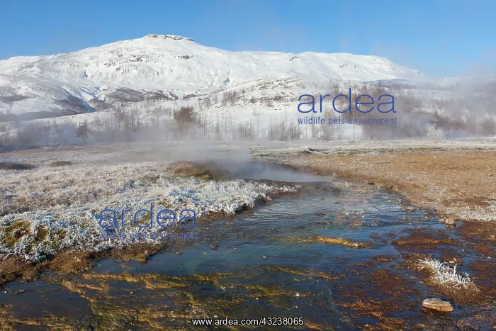 : Geothermal area Haukadalur : Geothermal area Haukadalur