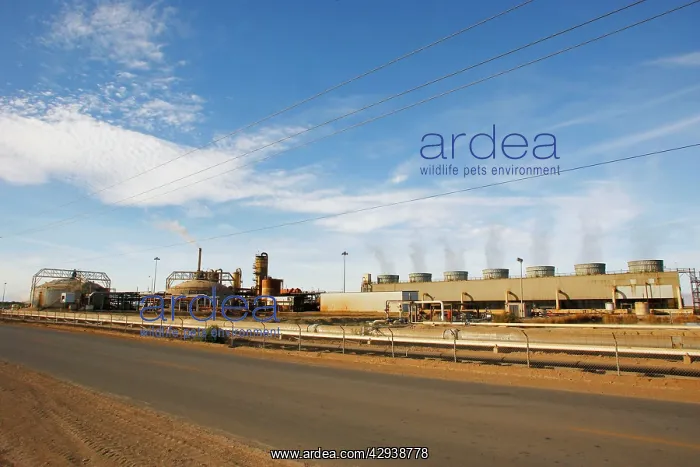 : Geothermal energy plant : Geothermal energy plant