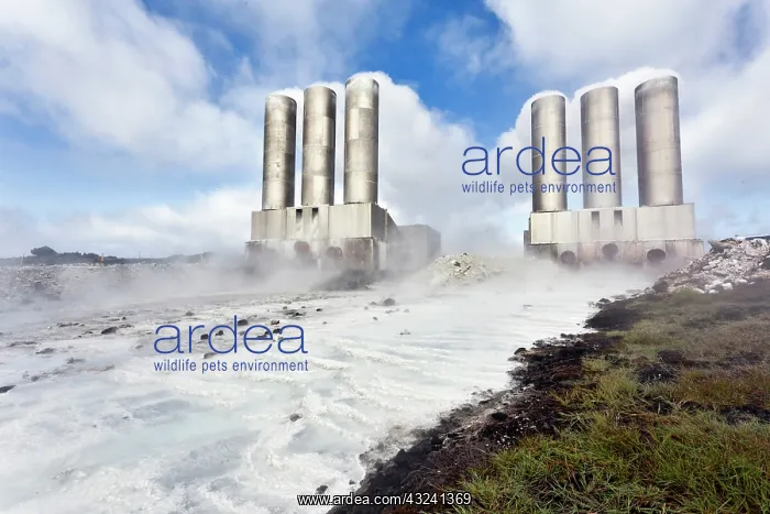 : Geothermal Plant, Iceland : Geothermal Plant, Iceland