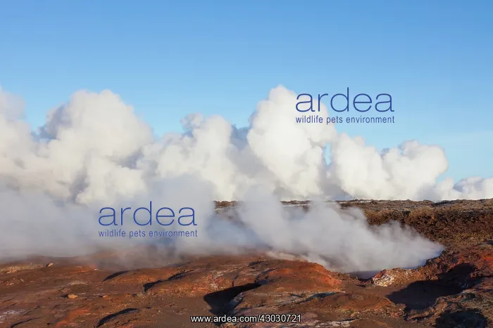  : Geothermal Resevoir