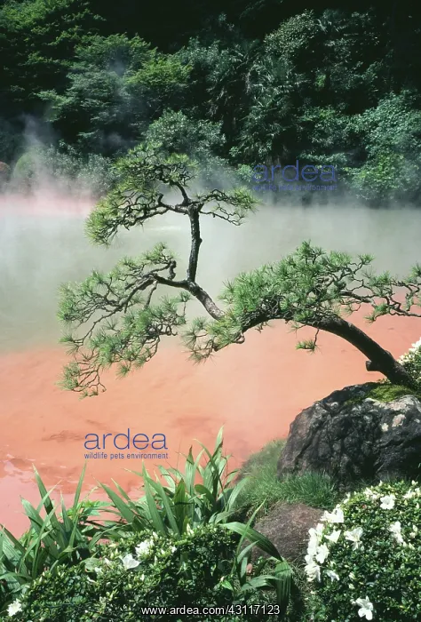 : Geothermal Spring, Japan : Geothermal Spring, Japan