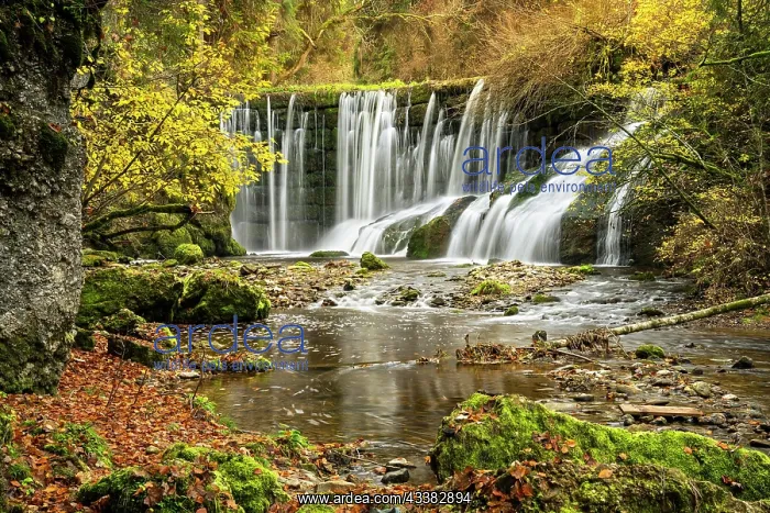 : The Geratser waterfall in autumn. Moss-covered r : The Geratser waterfall in autumn. Moss-covered r