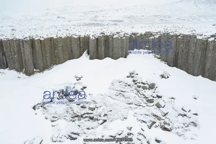 : Gerduberg. Basalt columns at Gerduberg - Peninsula Snaefellsnes - Iceland : Gerduberg. Basalt columns at Gerduberg - Peninsula Snaefellsnes - Iceland