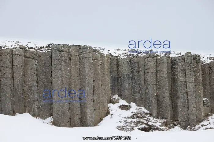 : Gerduberg. Basalt columns at Gerduberg - Peninsula Snaefellsnes - Iceland : Gerduberg. Basalt columns at Gerduberg - Peninsula Snaefellsnes - Iceland