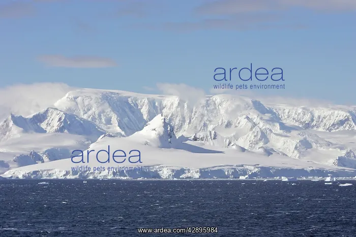  : Gerlache strait
