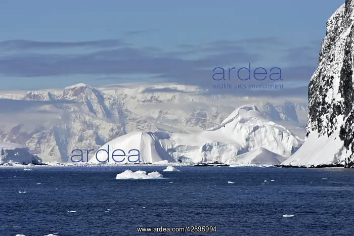  : Gerlache strait