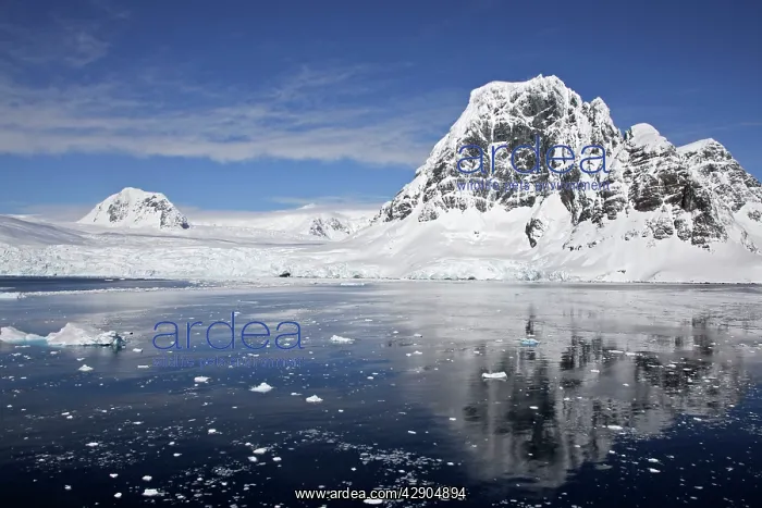 : Gerlache strait : Gerlache strait