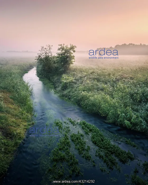 : German floodplain landscape in Brandenburg on the : German floodplain landscape in Brandenburg on the