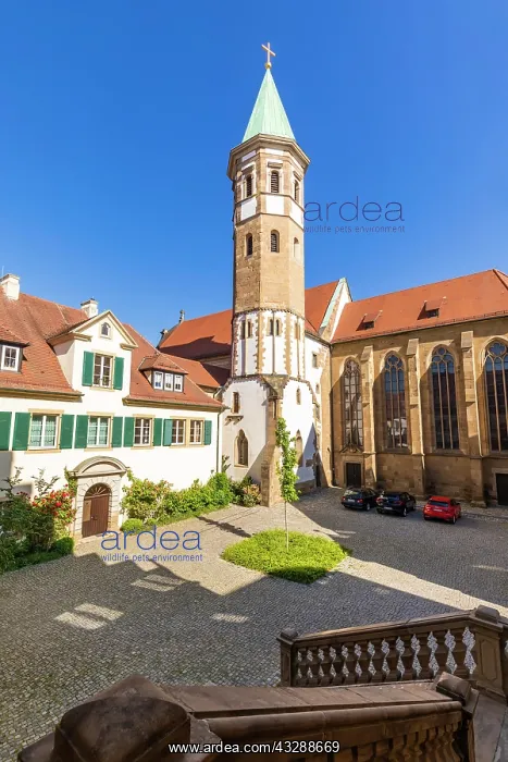 : German Order Minster of St. Peter and Paul in the : German Order Minster of St. Peter and Paul in the