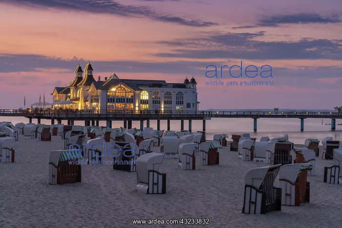 : Germany - 15 August 2020: view of the Sellin pier : Germany - 15 August 2020: view of the Sellin pier