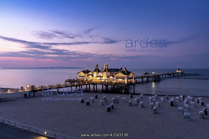 : Germany - 15 August 2020: view of the Sellin pier : Germany - 15 August 2020: view of the Sellin pier