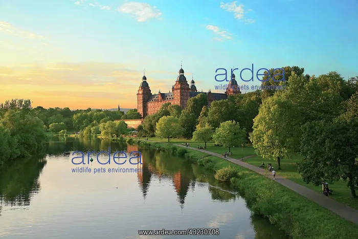  : Germany, Aschaffenburg, Schloss (castle)