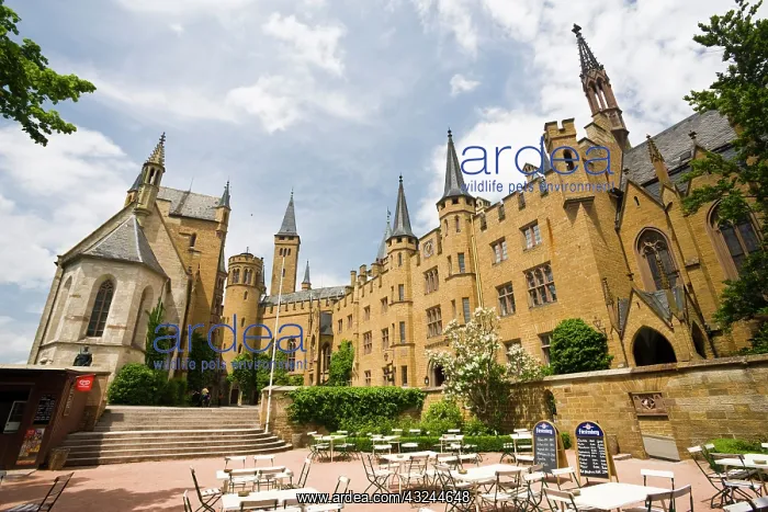 : Germany, Baden-Wurttemberg, Hechingen (Area) : Germany, Baden-Wurttemberg, Hechingen (Area)