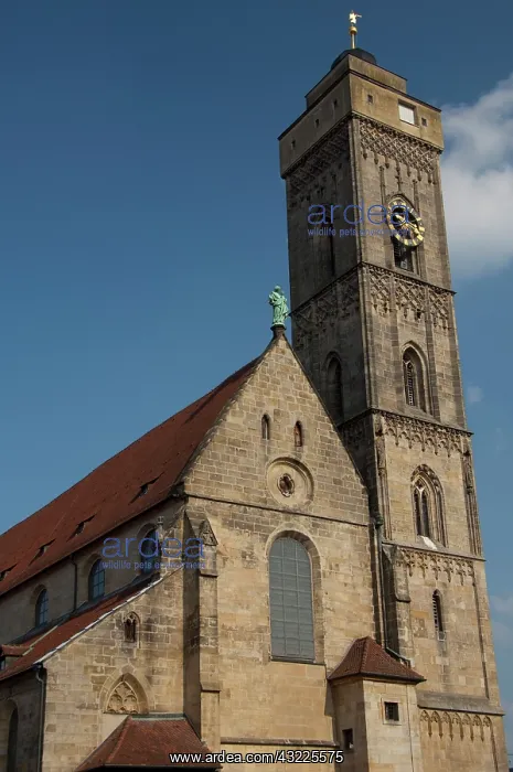 : Germany, Bamberg. Upper Parish church (aka : Germany, Bamberg. Upper Parish church (aka