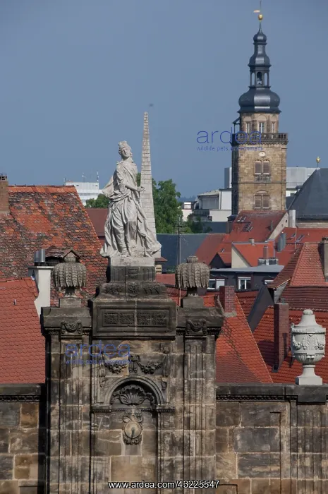 : Germany, Bamberg.View of historic rooftops : Germany, Bamberg.View of historic rooftops