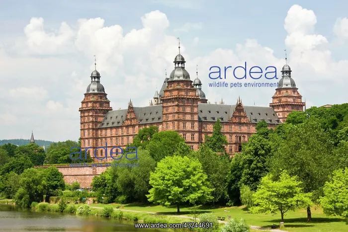 : Germany, Bavaria, Bayern, Aschaffenburg : Germany, Bavaria, Bayern, Aschaffenburg