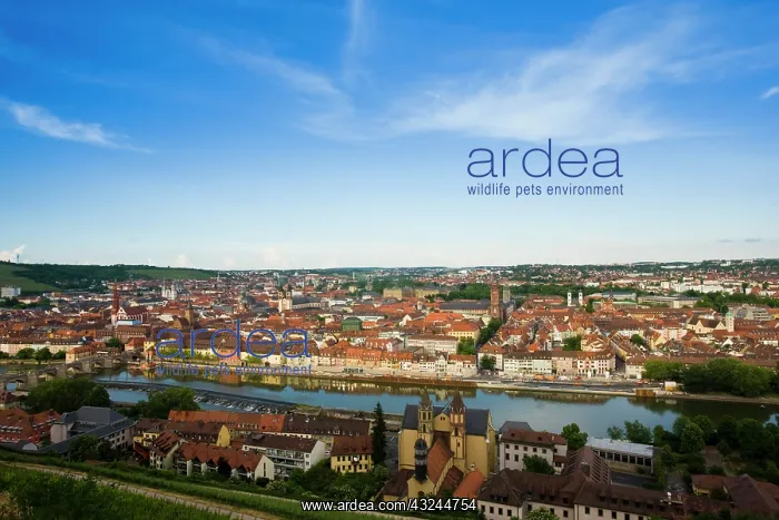 : Germany, Bavaria, Bayern, Wurzburg. Old : Germany, Bavaria, Bayern, Wurzburg. Old