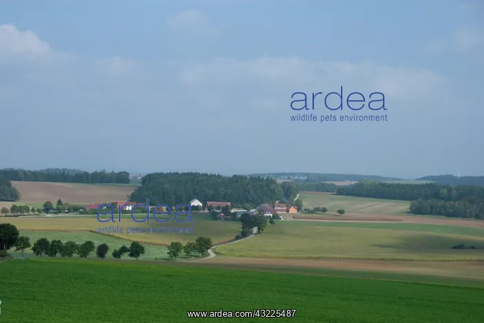 : Germany, Bavaria. Franconian countryside