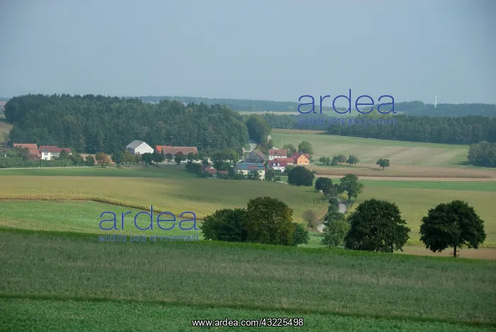 : Germany, Bavaria. Franconian countryside : Germany, Bavaria. Franconian countryside