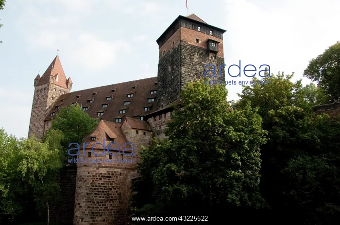 : Germany, Bavaria, Nuremberg. Historic 11th : Germany, Bavaria, Nuremberg. Historic 11th