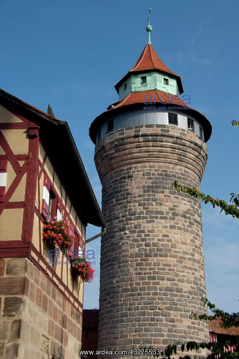 : Germany, Bavaria, Nuremberg. Historic 11th : Germany, Bavaria, Nuremberg. Historic 11th