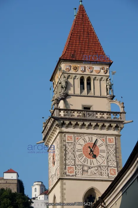 : Germany, Bavaria, Passau. 14th century Gothic : Germany, Bavaria, Passau. 14th century Gothic