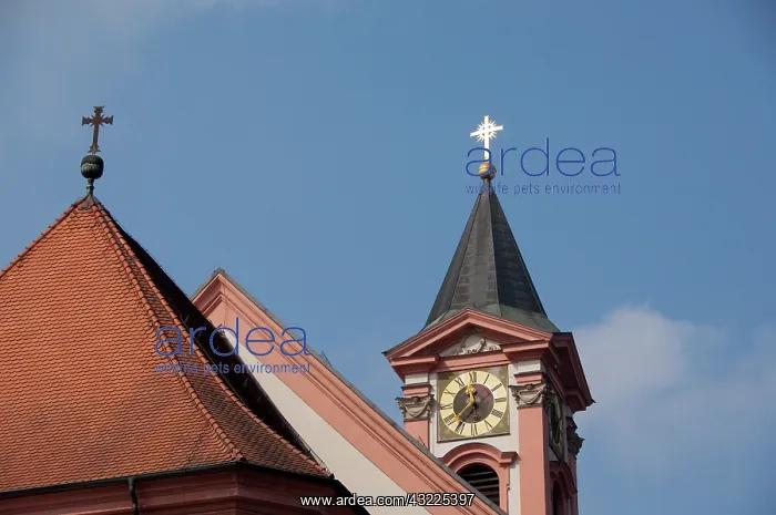  : Germany, Bavaria, Passau. St. Paul Church