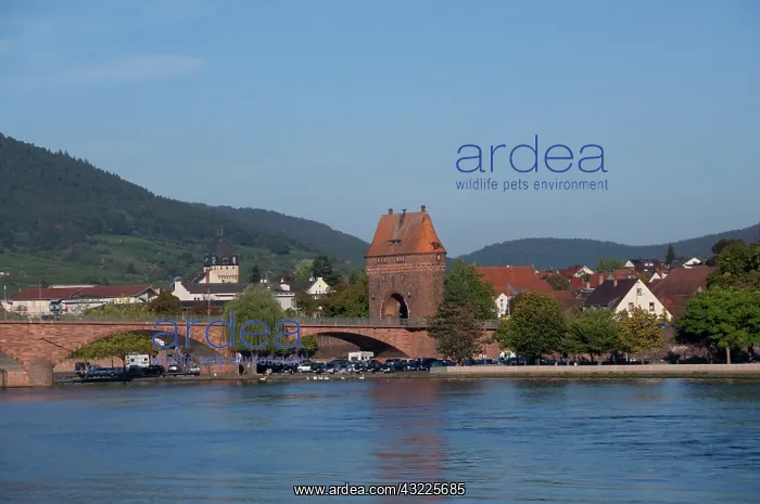 : Germany, Bavaria. Typical views along the : Germany, Bavaria. Typical views along the