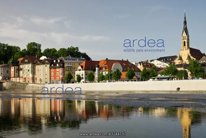 : Germany, Bayern-Bavaria, Bad Tolz. Town : Germany, Bayern-Bavaria, Bad Tolz. Town
