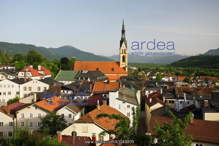 : Germany, Bayern-Bavaria, Bad Tolz. Town : Germany, Bayern-Bavaria, Bad Tolz. Town