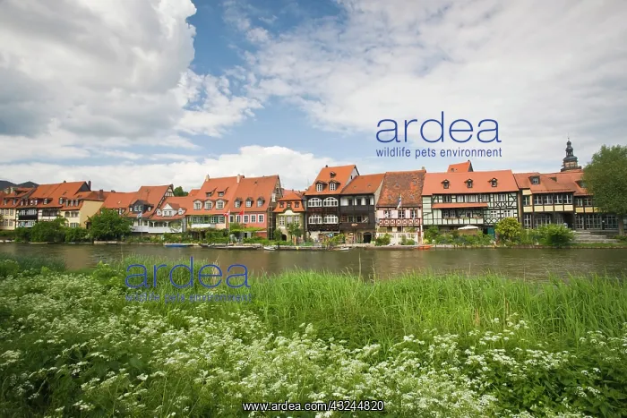 : Germany, Bayern-Bavaria, Bamberg. Little : Germany, Bayern-Bavaria, Bamberg. Little