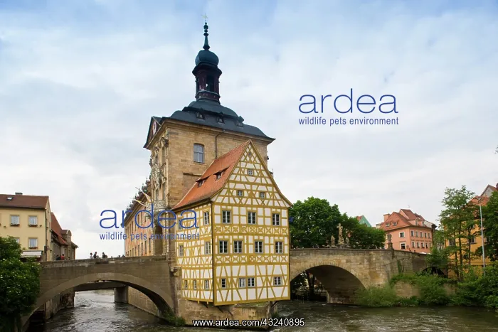 : Germany, Bayern-Bavaria, Bamberg. Old Town : Germany, Bayern-Bavaria, Bamberg. Old Town