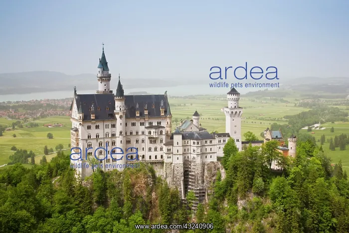  : Germany, Bayern-Bavaria, Deutsche Alpenstrasse