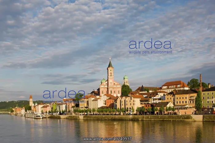 : Germany, Bayern-Bavaria, Passau. Danube : Germany, Bayern-Bavaria, Passau. Danube