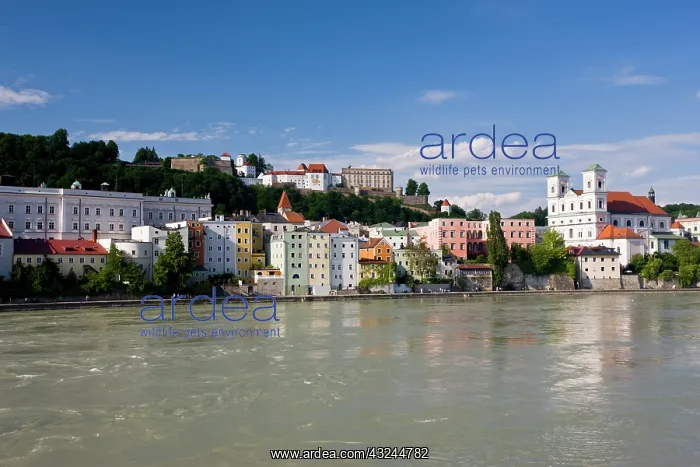 : Germany, Bayern / Bavaria, Passau, Inn River : Germany, Bayern / Bavaria, Passau, Inn River