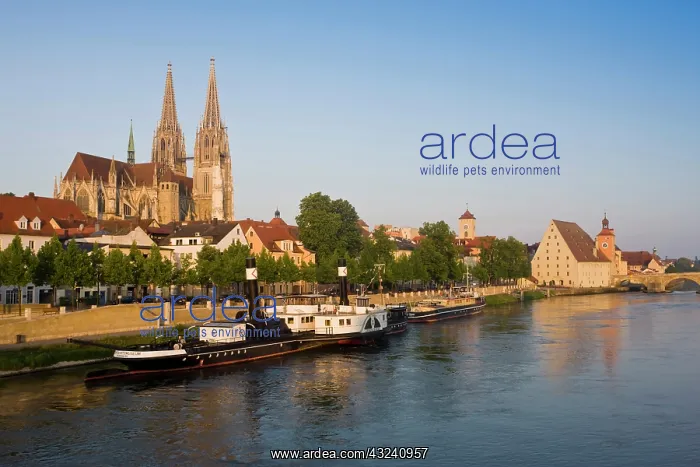 : Germany, Bayern-Bavaria, Regensburg. Dom : Germany, Bayern-Bavaria, Regensburg. Dom