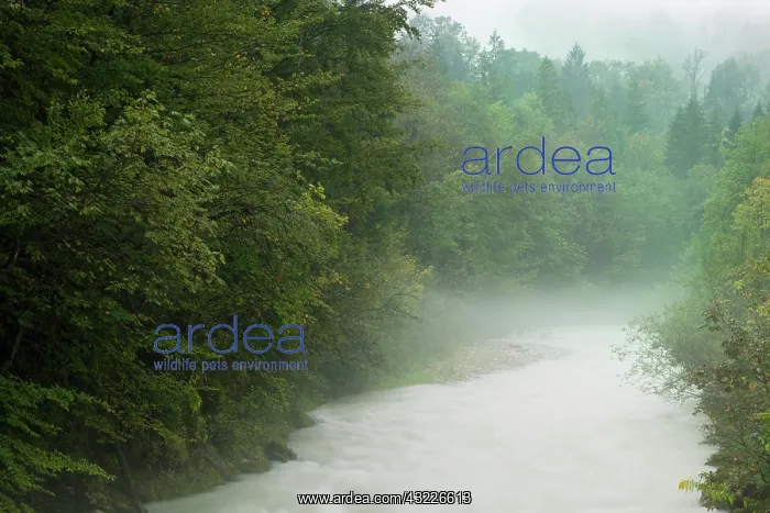 : Germany, Berchtesgaden. River flowing through : Germany, Berchtesgaden. River flowing through