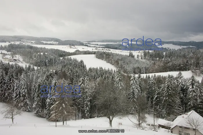  : Germany, Black Forest, Hollsteig. Hell's